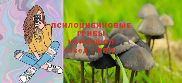 дурь Белоозёрский