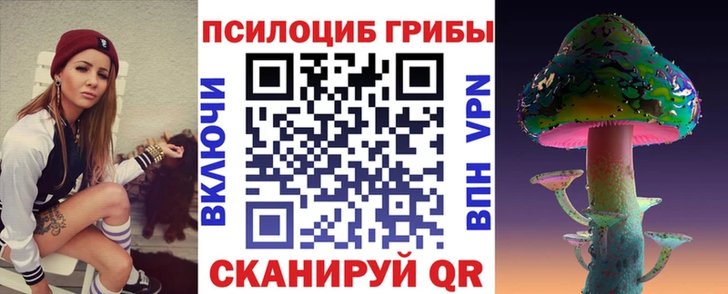 продажа наркотиков Полесск Галлюциногенные грибы Psilocybe